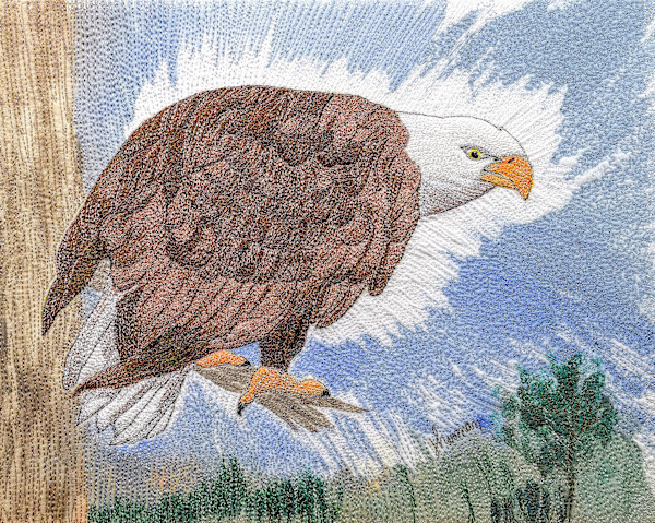 Eagle's View 8x10 #1 of 5 by Janet Herman