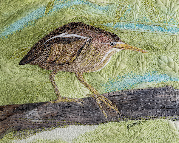 Least Bittern Heron by Janet Herman