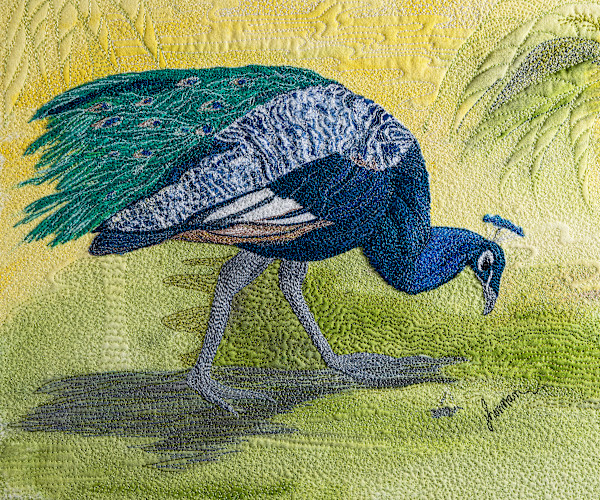 Peacock Blues by Janet Herman