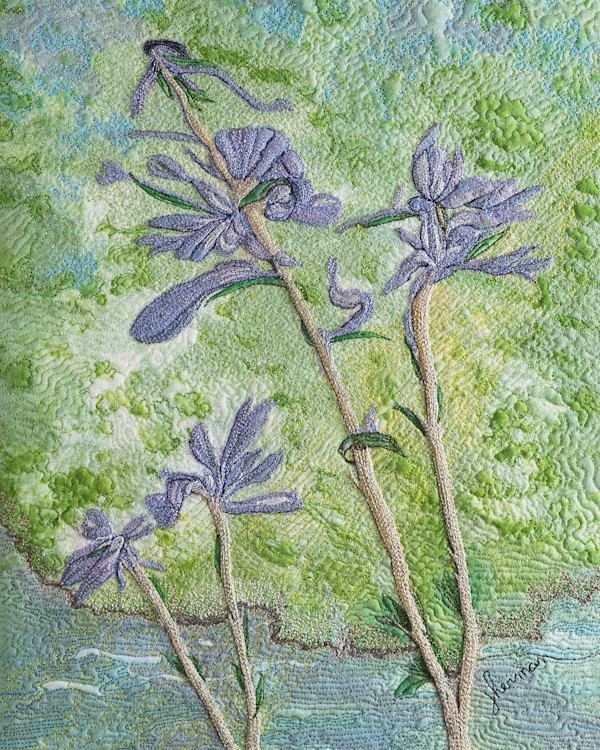 Purple Lotus Wildflowers by Janet Herman