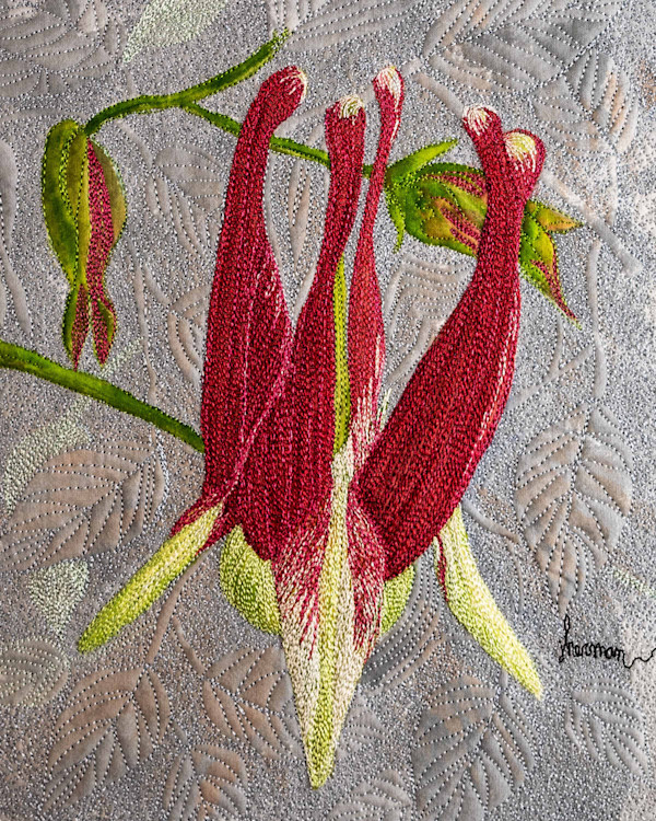 Red Columbine by Janet Herman