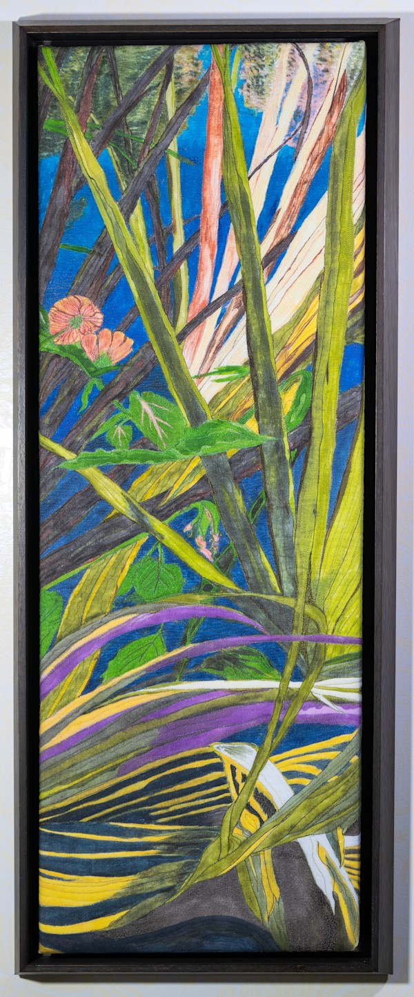 Strap Fern by Janet Herman