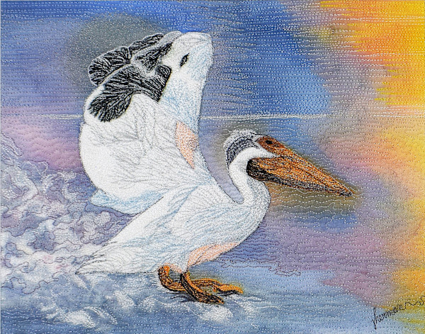 White Pelican Splashdown 11x14 Reproduction #4/10 by Janet Herman