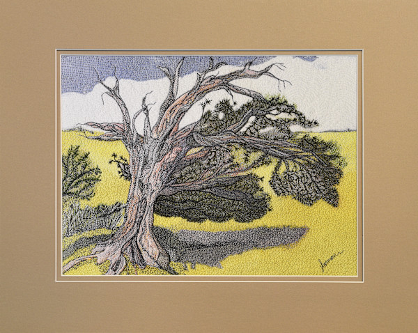 Windy Ridge Bristlecone Reproduction #1/5 by Janet Herman