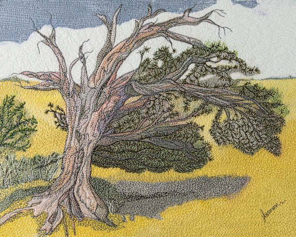 Windy Ridge Bristlecone by Janet Herman