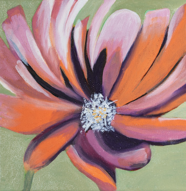 Color Me Orange by Janet Herman