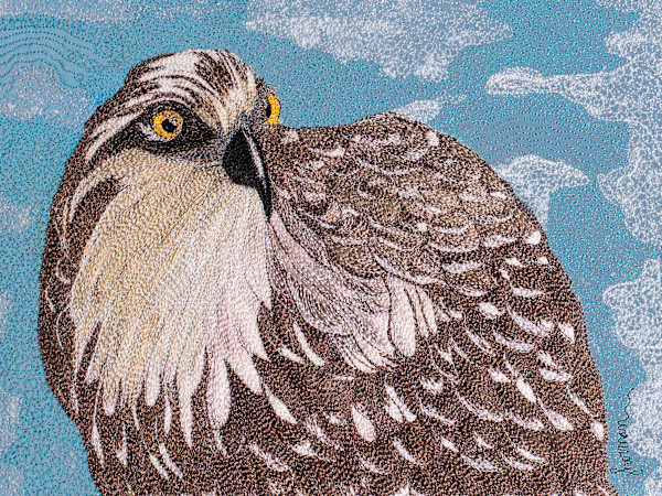 Ospry 8x10 Reproduction #2 of 5 by Janet Herman