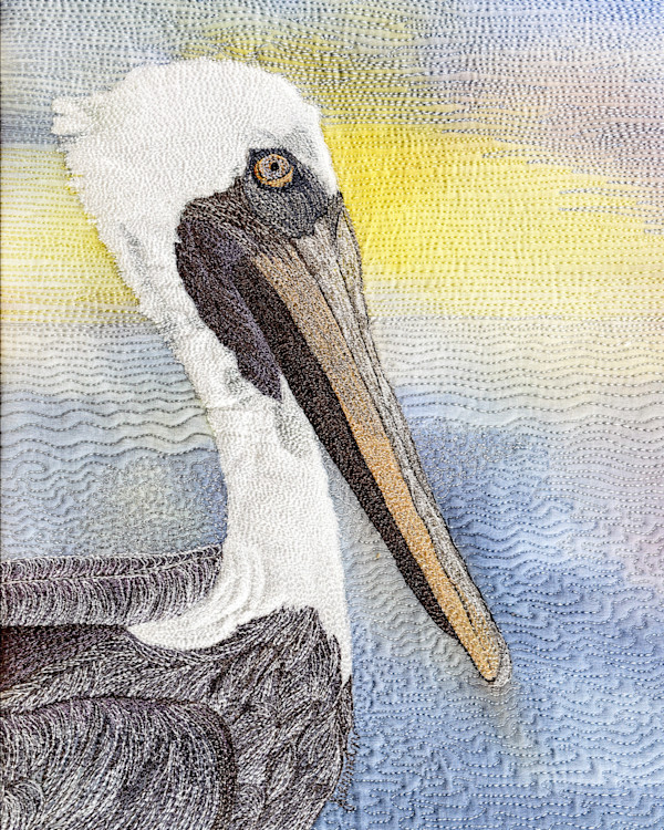 Pelican Profile 8x10 Reproduction by Janet Herman