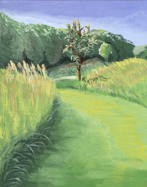Illinois Grass Path Reproduction 1 of 5 by Janet Herman
