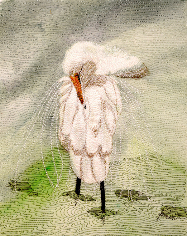 Sleeping Egret reproduction 1 of 5 by Janet Herman, Image 1.