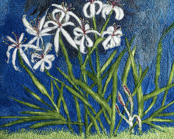 Swamp Lilies 8x10 Reproduction #1 of 5 by Janet Herman