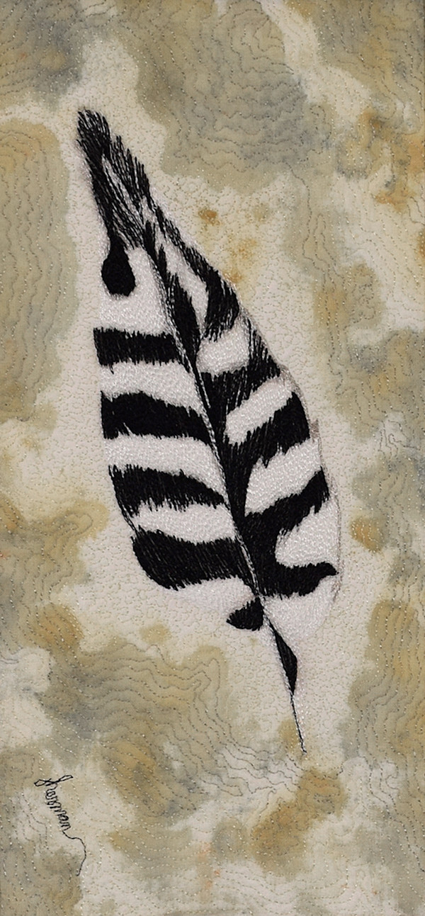 Woodpecker Feather by Janet Herman