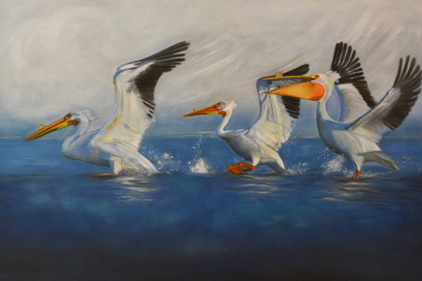 Pelicans by Hanna Bordewijk, Image 1.