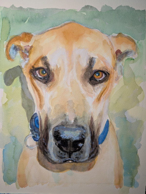 Great Dane. by Hanna Bordewijk