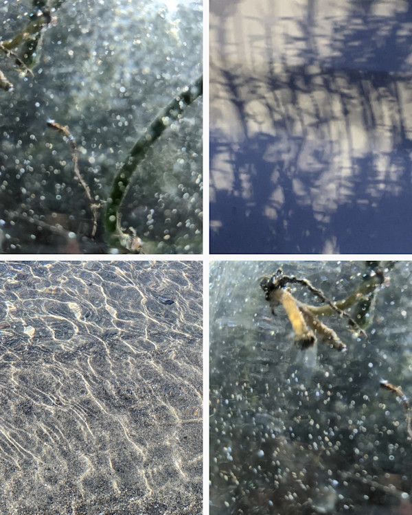 Shimmer by Alina Manko, Image 1.