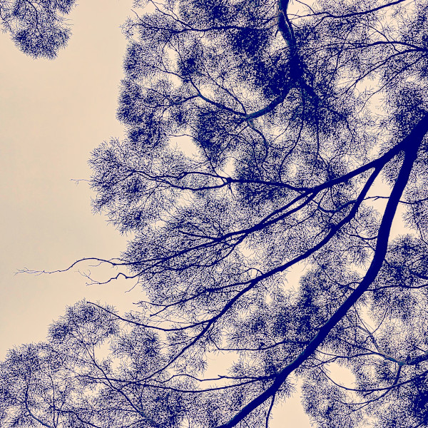 Look Up by Alina Manko, Image 3.