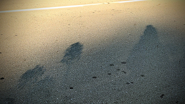 Roads We Travel by Alina Manko, Image 7.