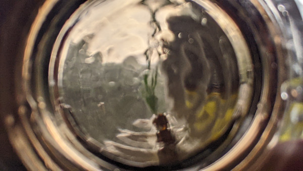 Through The Looking Glass by Alina Manko, Image 6.