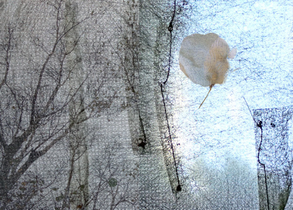 Winter by Alina Manko, Image 1.