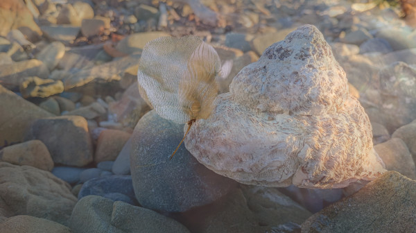 Moments by Alina Manko, Image 1.