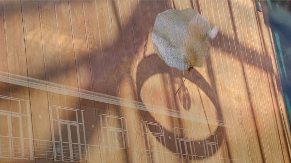 From the Outside by Alina Manko, Image 1.