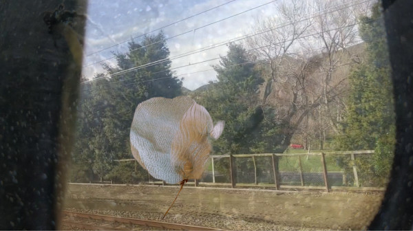 Trains by Alina Manko, Image 1.