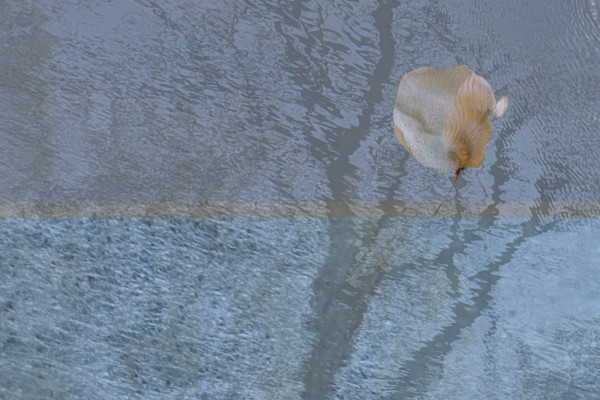 In Thought by Alina Manko, Image 1.