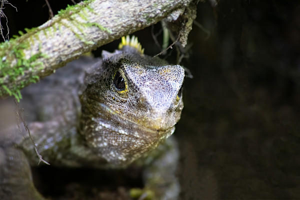 Watch your head! by EB. Photography