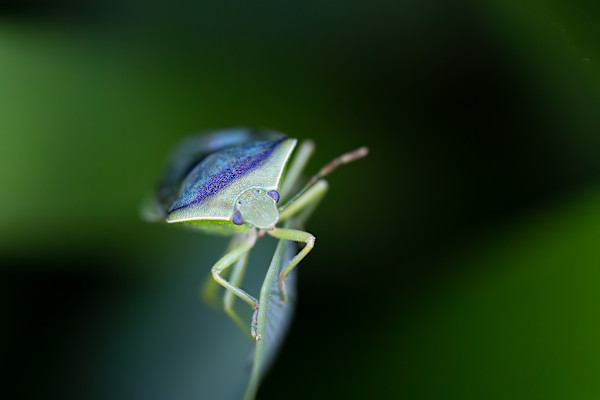 Living on the edge by EB. Photography
