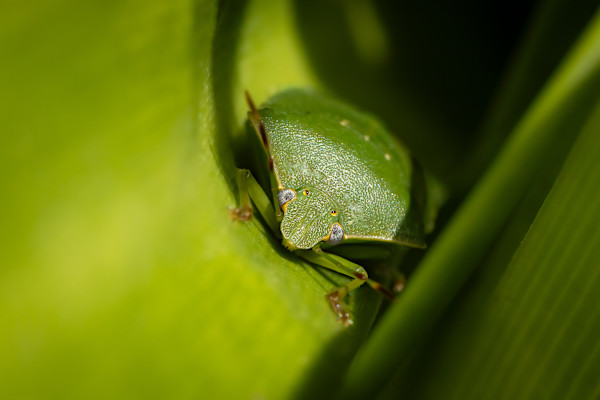 Snug as a bug by EB Photography
