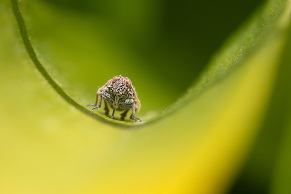 Riding the leaf wave by EB. Photography