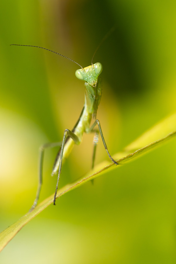 Precarious perch by EB. Photography