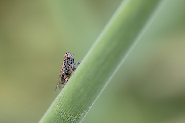 Hidden in plain sight by EB Photography