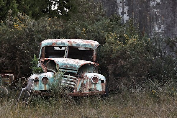 Nature reclaims the past by EB Photography
