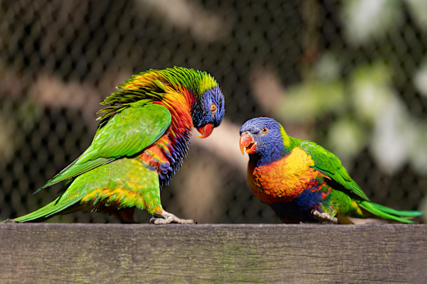 Intimidation tactics by EB Photography
