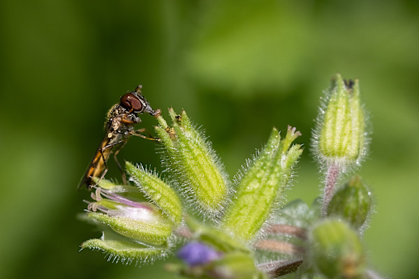 Gourmet meal by EB Photography