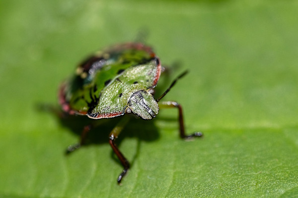 What are you looking at? by EB. Photography