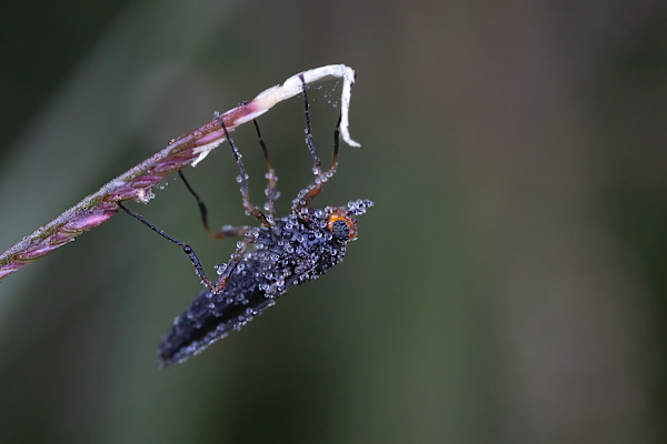 Just hanging around by EB Photography