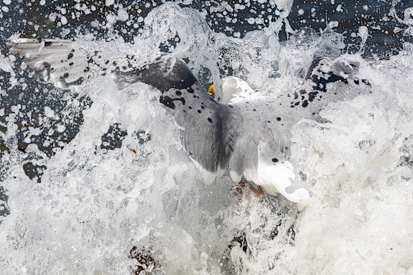 Swept away by EB. Photography