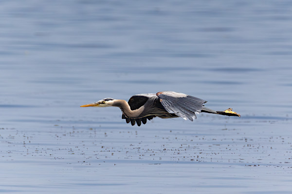 Aerodynamic perfection by EB. Photography