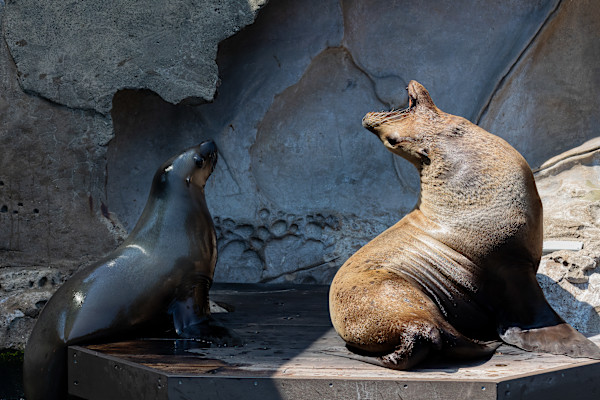 Where are the snacks? by EB. Photography