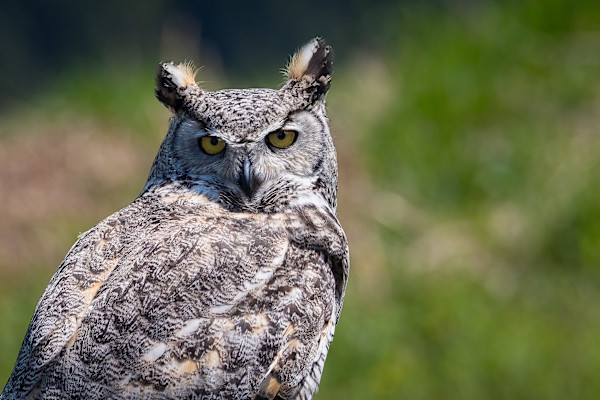 Intensity by EB Photography