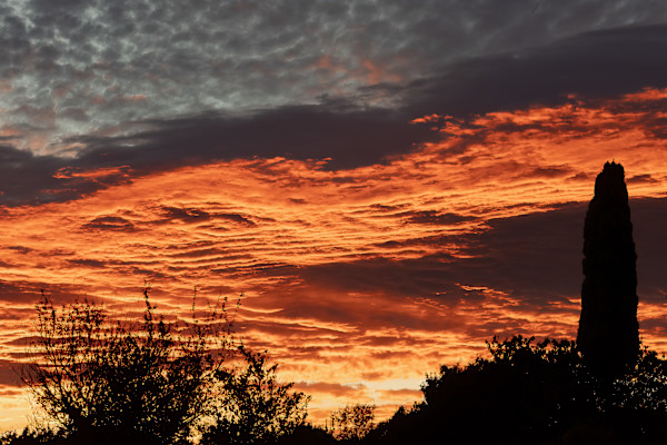Sunrise over the trees by EB. Photography