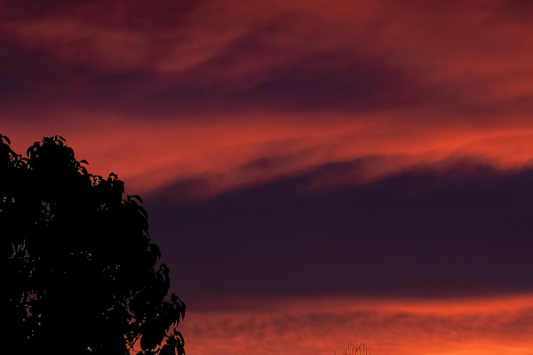 Burning mornings by EB Photography