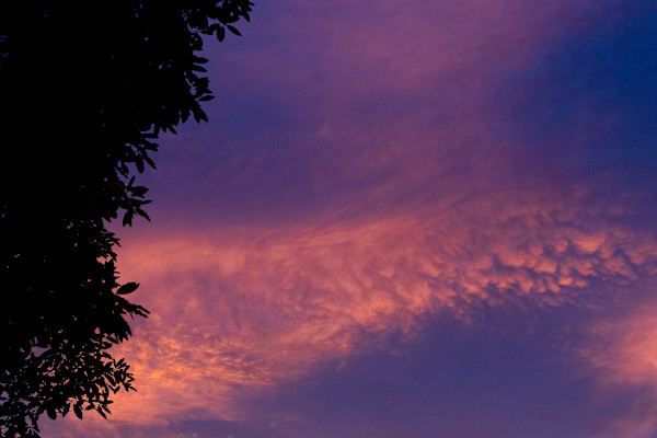 Silouette in technicolor by EB. Photography