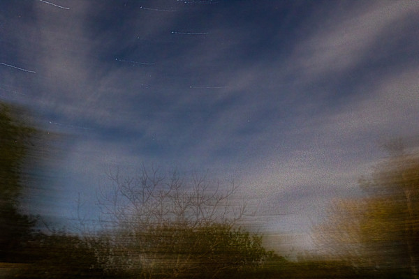 ICM tree and stars by EB. Photography