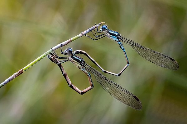 Spending time with mates by EB Photography