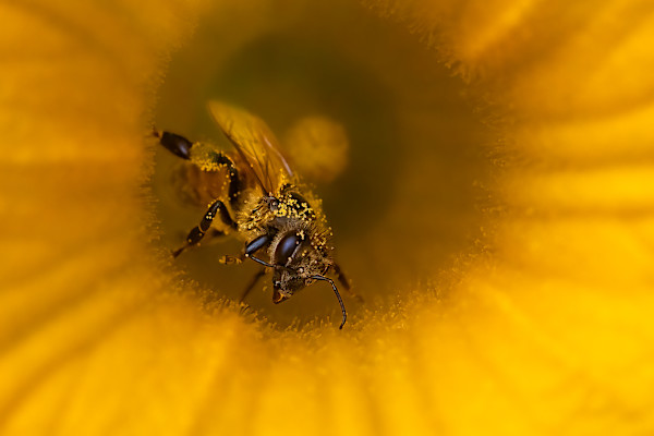 Coming out of the tunnel by EB Photography