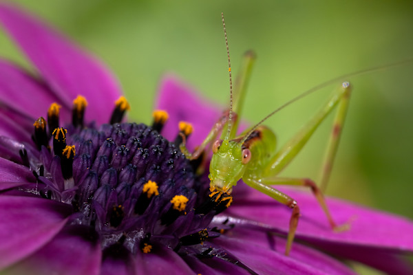 Delicious! by EB Photography