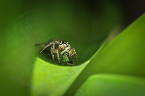 Dinner time by ABPhotography, Image 1.